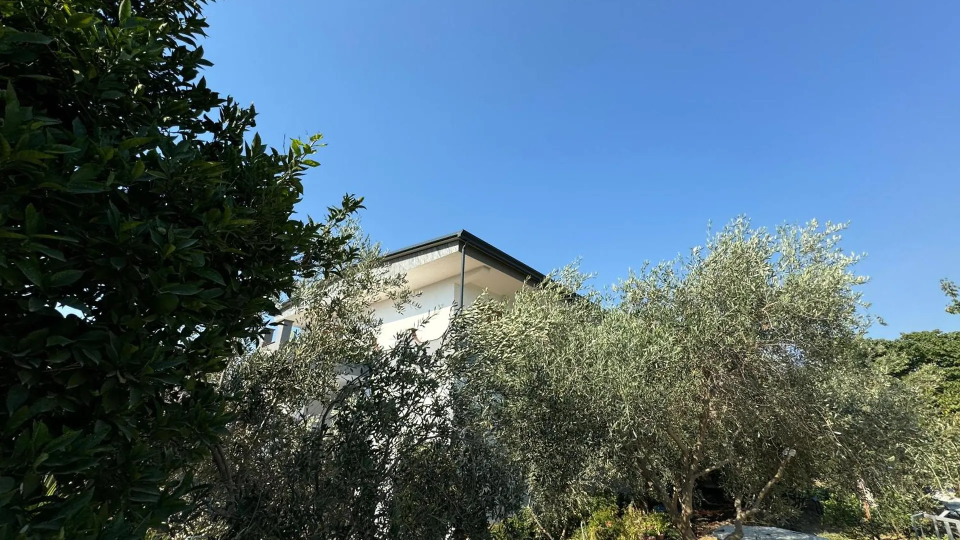 Guest house Aloju Rooms Vlore Albania