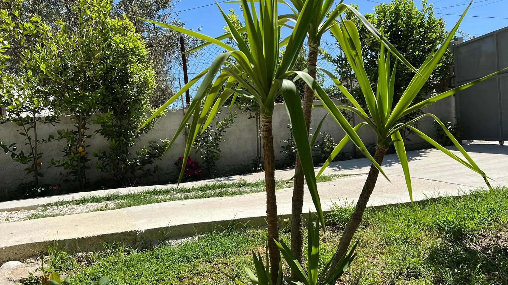 Aloju Rooms Vlore